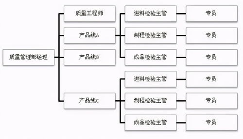 超棒企業(yè)質(zhì)量組織架構(gòu)圖，員工如何定位自己的位置